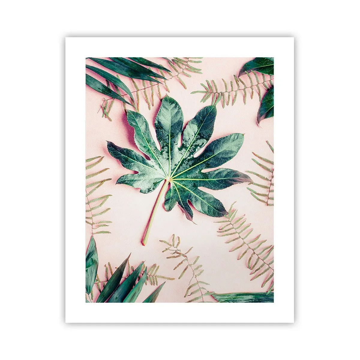 Poster - Studiu de verdeață pe un fundal roz - 40x50 cm