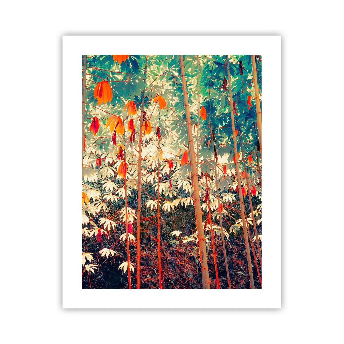 Poster - Viața secretă a frunzelor - 40x50 cm
