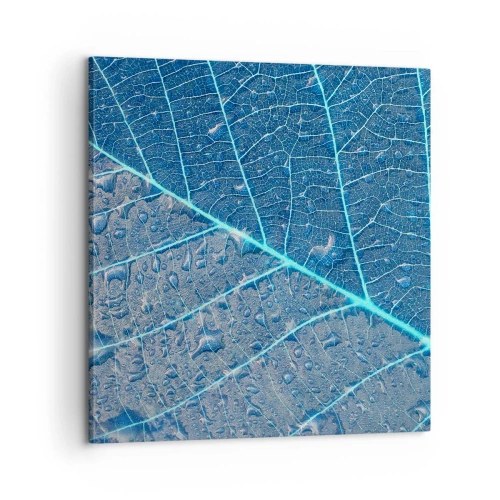 Tablou pe pânză - Viața în albastru - 60x60 cm