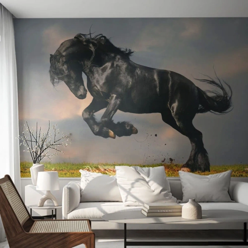Tapet Standard Eco - Frumos și liber - Animale, Cal, Peisaj - 500x350 cm