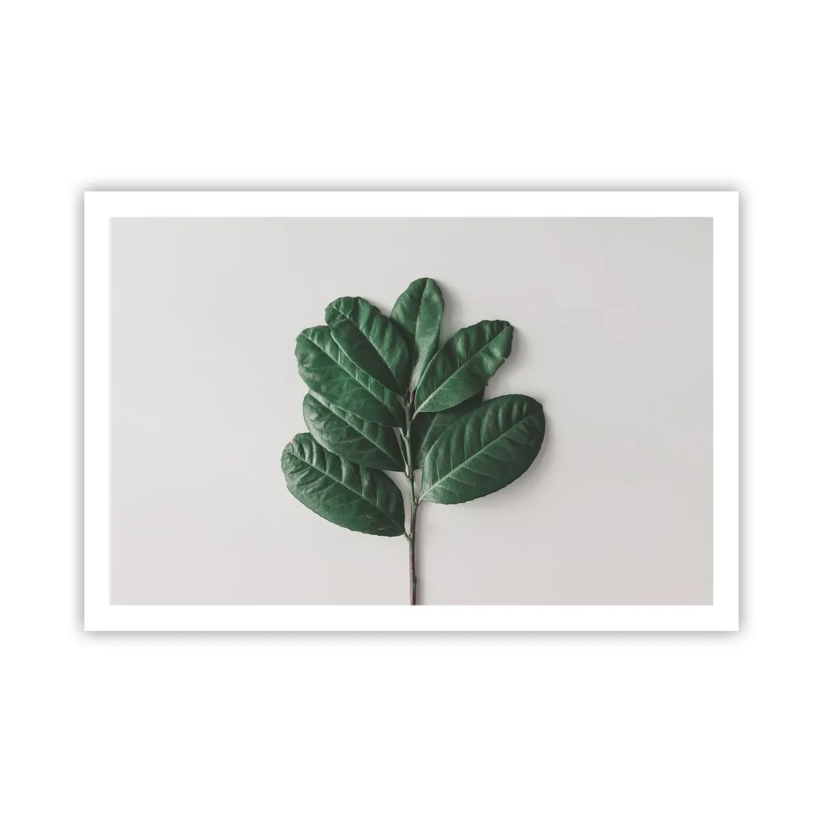 Poster - Desenul naturii însăși - 91x61 cm