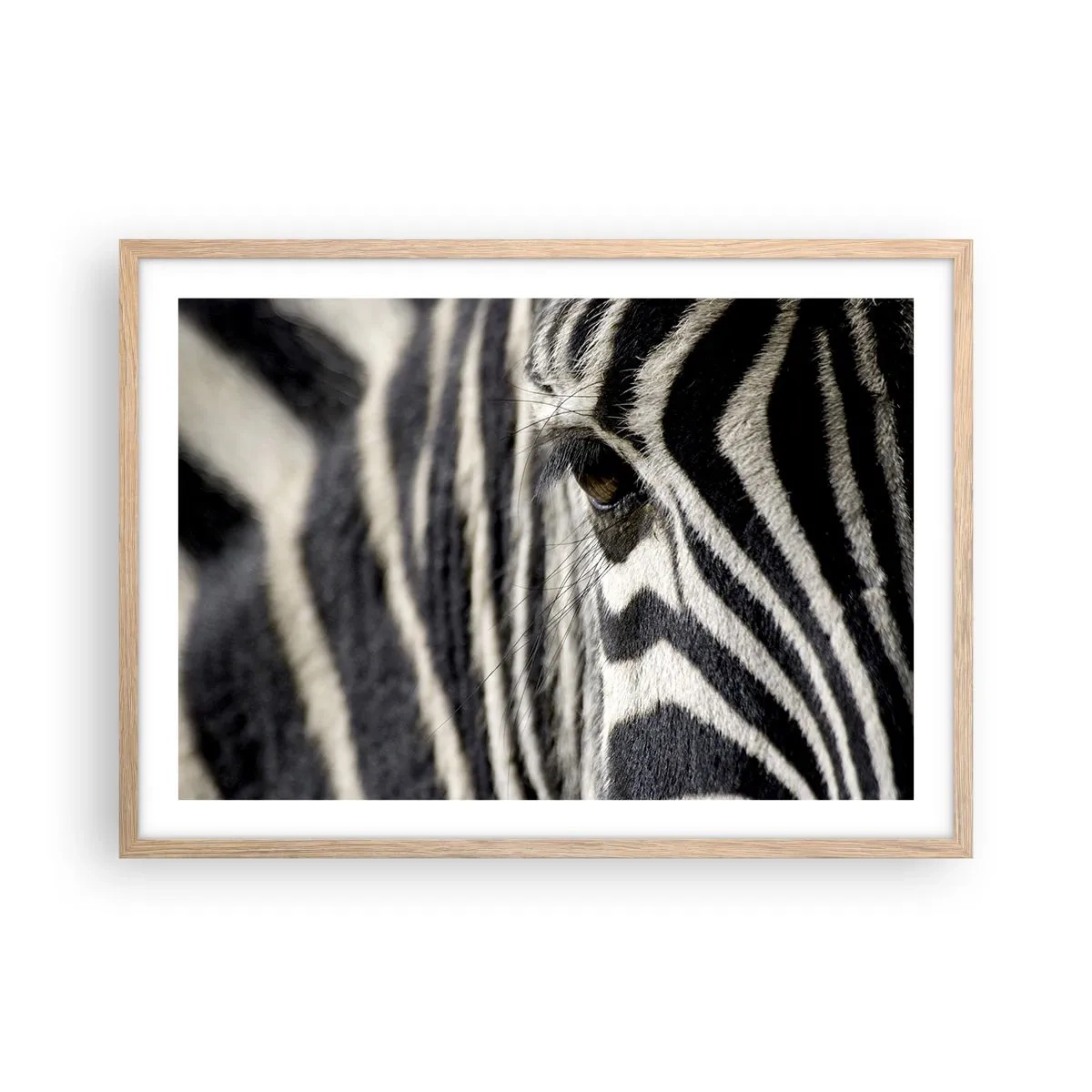 Poster în ramă de stejar deschis - Portret cu dungi - 70x50 cm