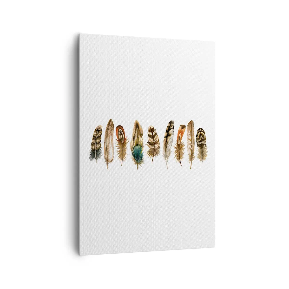 Tablou pe pânză - Variație cu pene - 70x100 cm