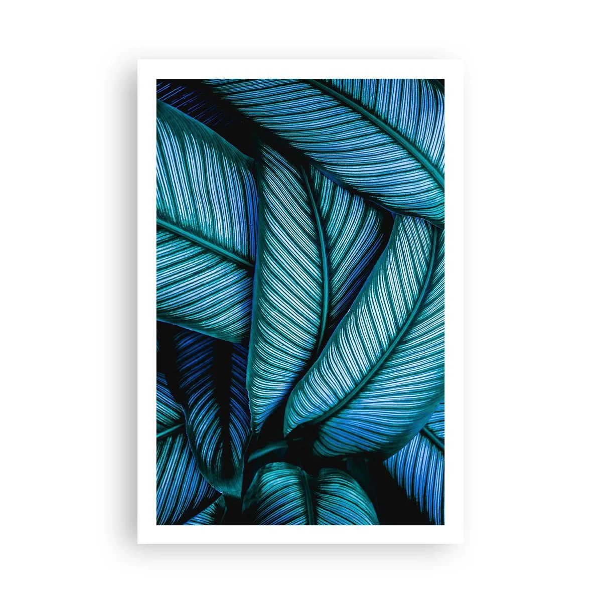 Poster - Linii de viață - 61x91 cm