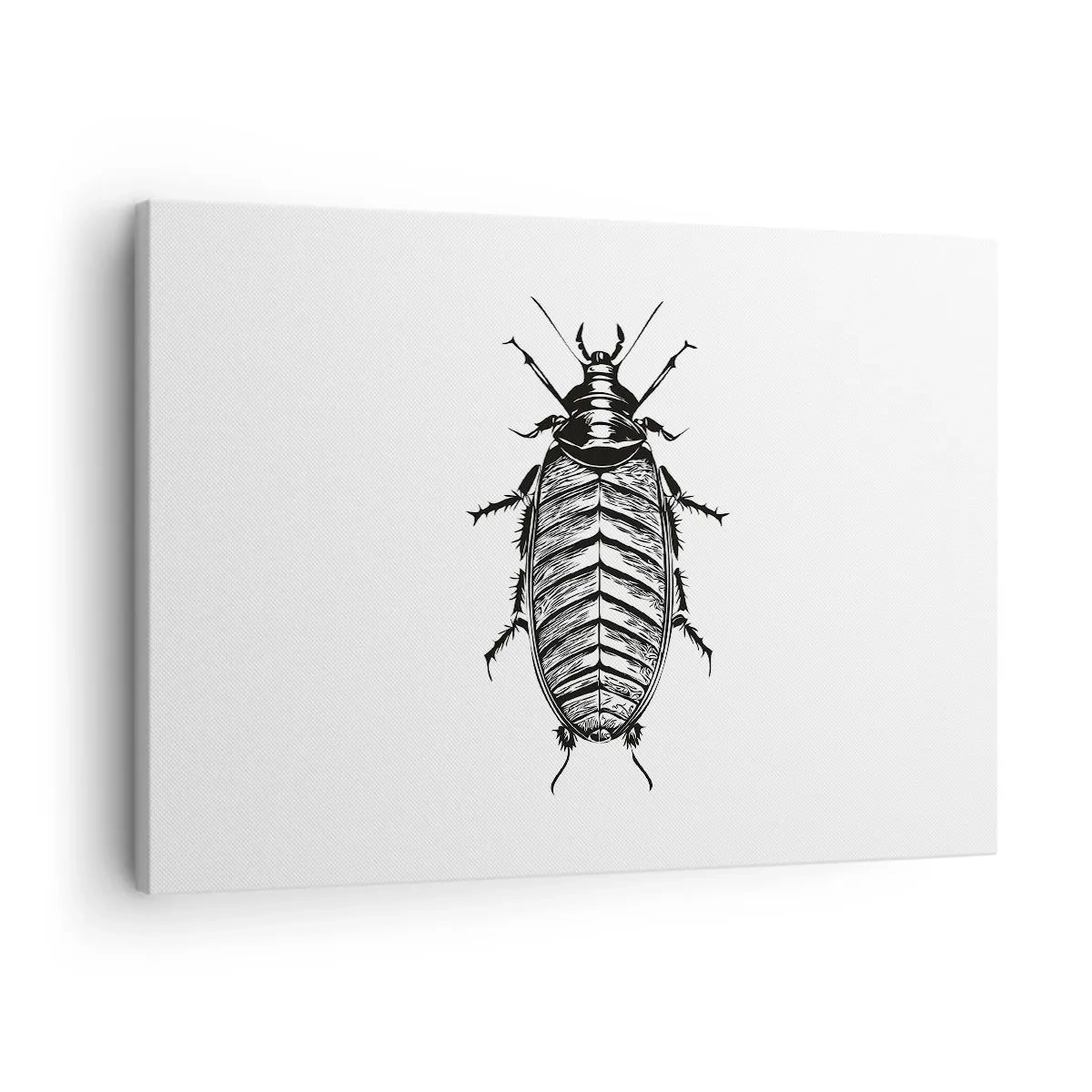 Tablou pe pânză Canvas - Grafică a unei insecte alb-negru pe fundal alb - 70x50cm - Ce specimen! - Decorațiune modernă pentru perete pentru living și dormitor ARTTOR