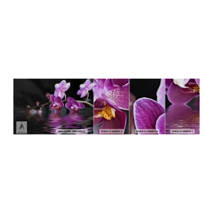 Mostră tapet autocolant Deluxe Sticker - Reflecție de frumusețe în liliac - Flori, Orhidee, Natură - 100x30 cm