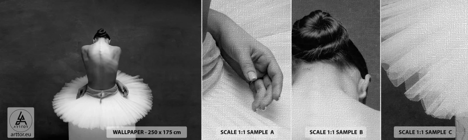 Mostră tapet Premium Canvas - Chiar înflorește - Balerină, Dans, Balet - 100x30 cm