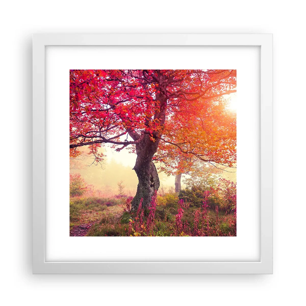 Poster în ramă albă - O frenezie de înflorire - 30x30 cm