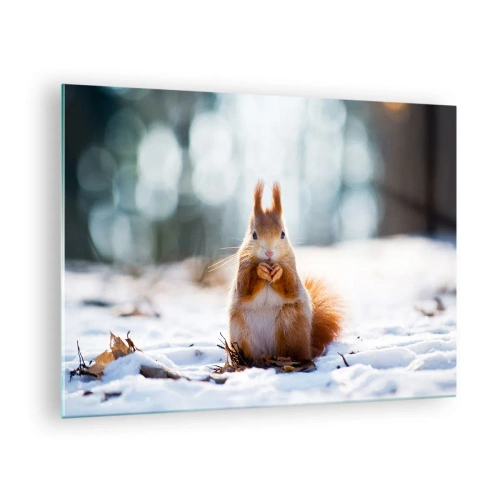 Tablou pe sticlă - Veveriță în zăpadă cu o nucă în pădurea de iarnă - 70x50cm - Și la ce te uiți? - Decorațiune modernă pentru perete pentru living și dormitor ARTTOR