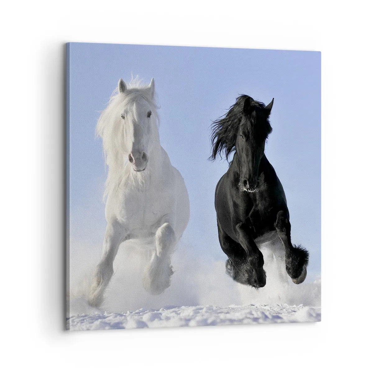 Tablou pe pânză - Galop de alb și negru - 60x60 cm