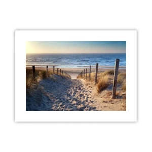 Poster - Zumzet de mare, o plajă sălbatică printre ierburi... - 40x30 cm