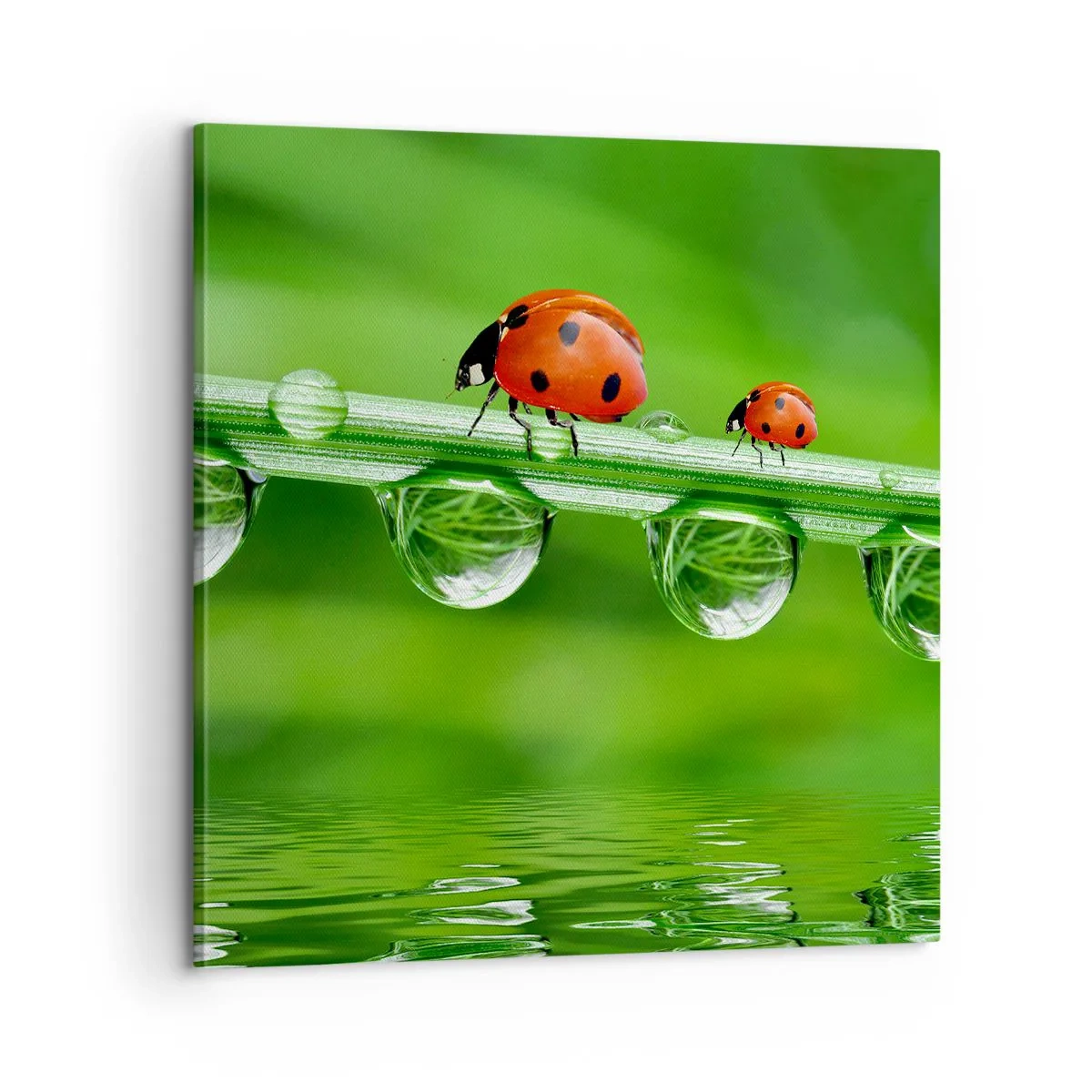 Tablou pe pânză - Pe drum toată vara - 60x60 cm