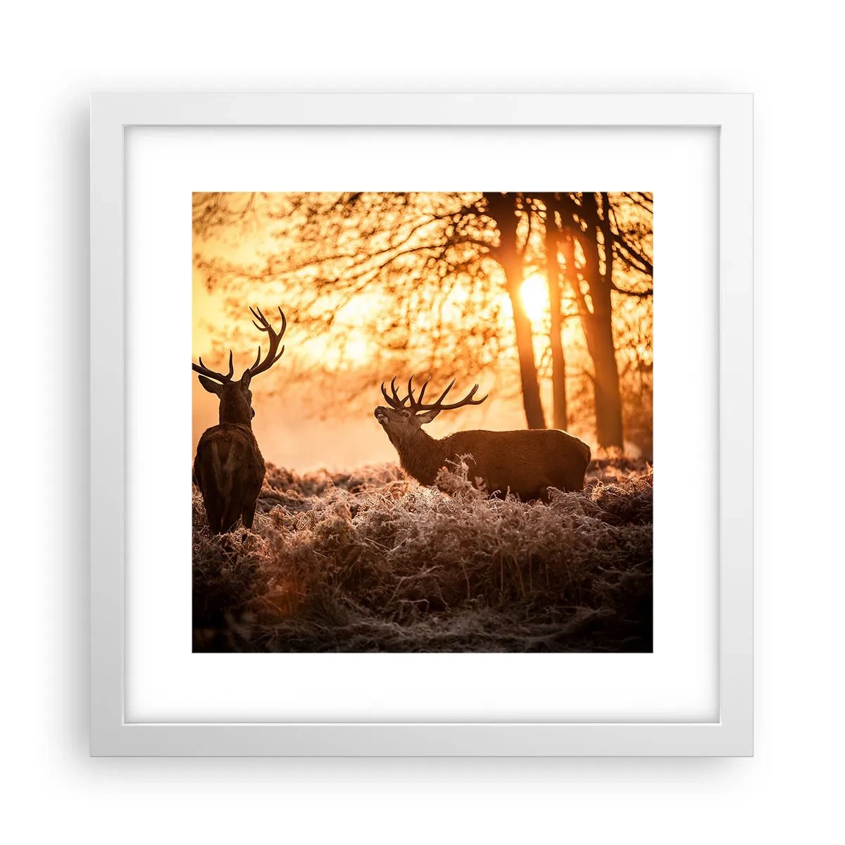 Poster în ramă albă - Visul unui vânător - 30x30 cm