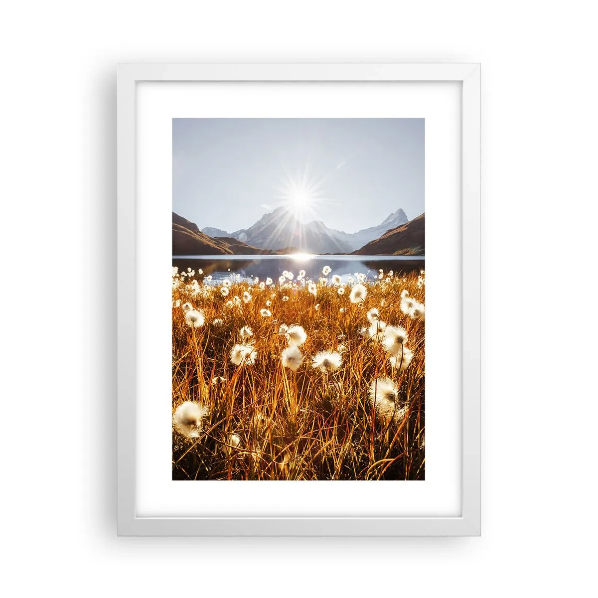 Poster în ramă albă - Duritatea rocilor, moliciunea ierbii - 30x40 cm