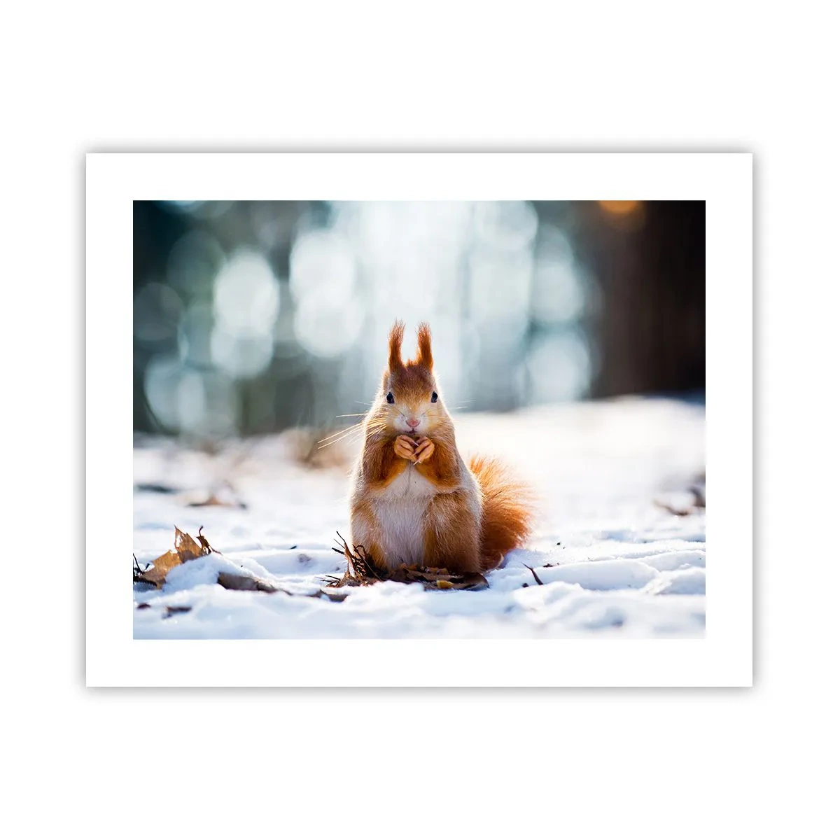 Poster - Și la ce te uiți? - 50x40 cm