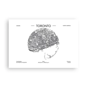 Poster - Anatomia Toronto - 100x70 cm
