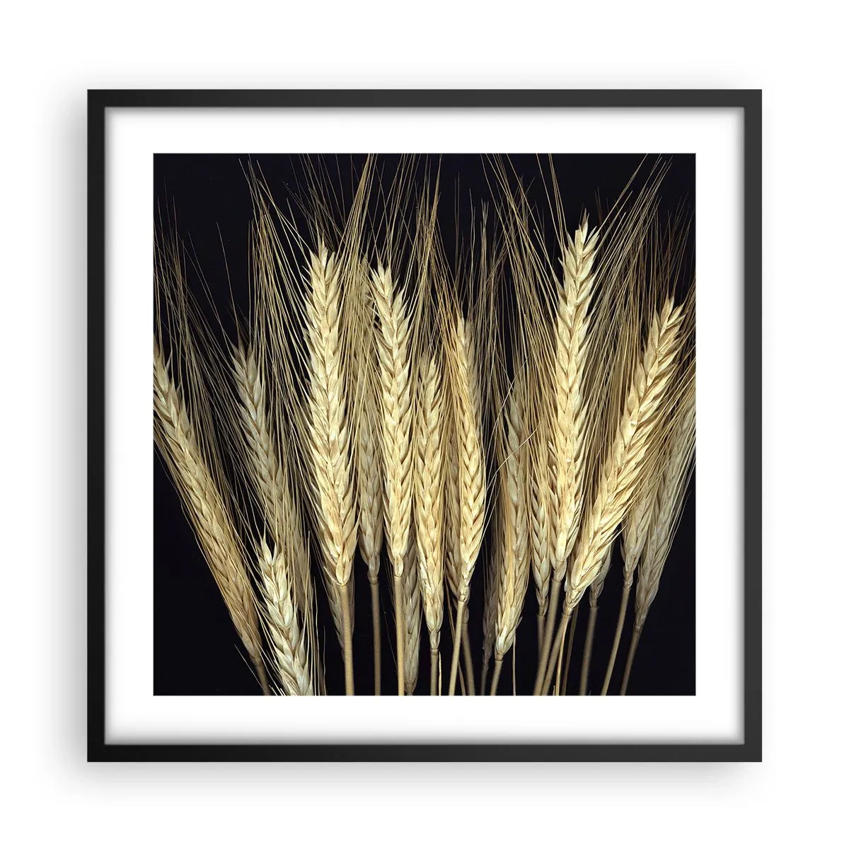 Poster în ramă neagră - Magie rustică - 50x50 cm