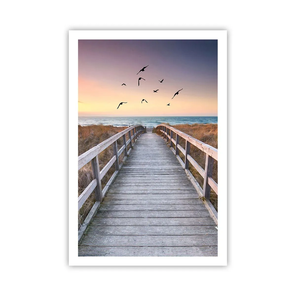 Poster - Spațiul pentru a zbura - 61x91 cm