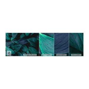 Mostră de Tapet Standard Eco - Verdeața în sine - Frunze, Natură, Botanică - 100x30 cm