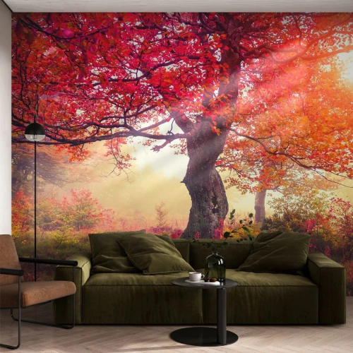 Tapet Premium Canvas - O frenezie de înflorire - Peisaj, Parc, Flori - 300x210 cm