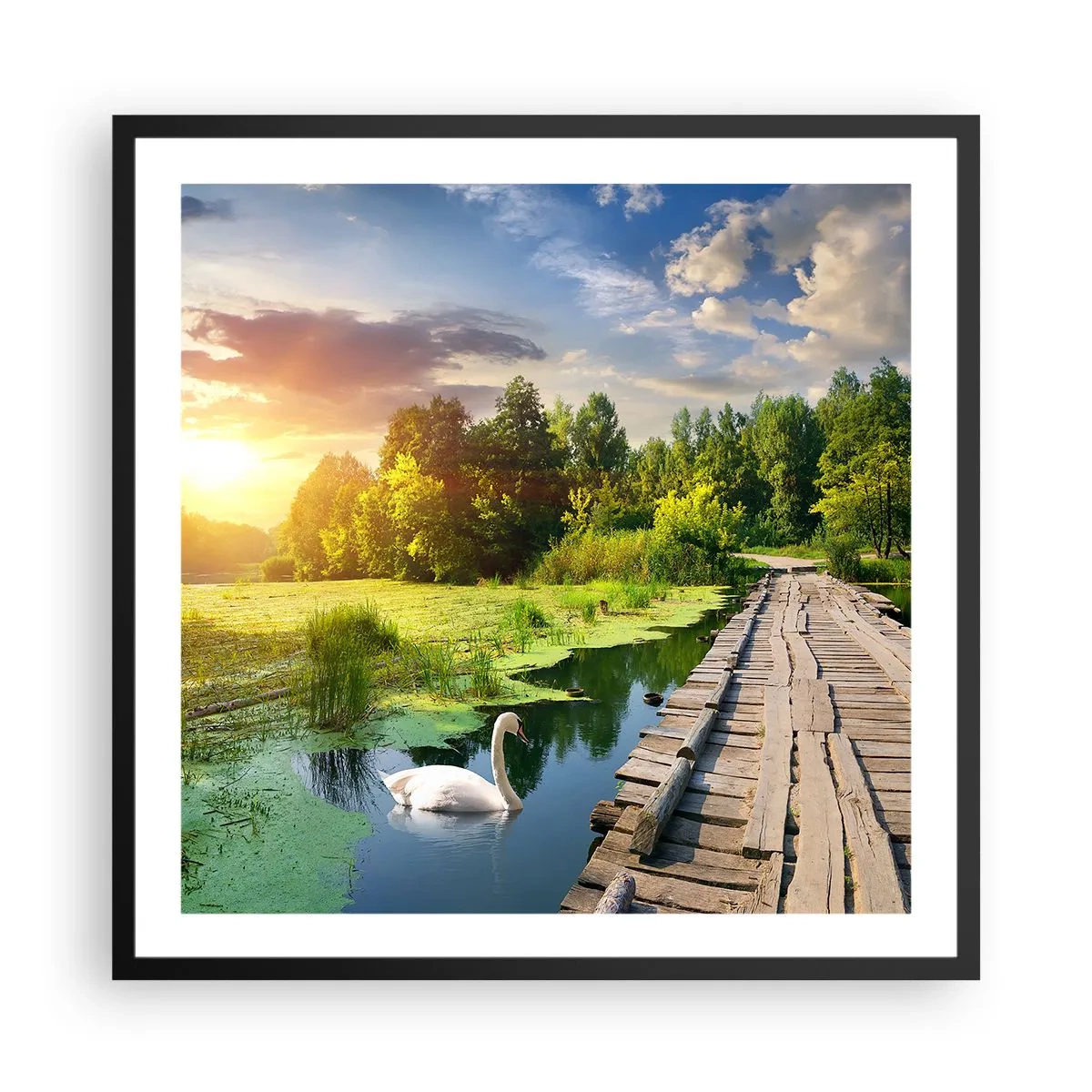 Poster în ramă neagră - Vară, vară peste tot - 60x60 cm
