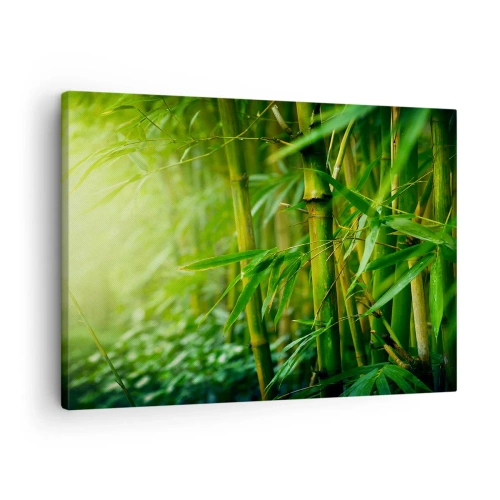 Tablou pe pânză Canvas - Pădure verde de bambus în lumină blândă - 70x50cm - Cunoașteți verdeața în sine - Decorațiune modernă pentru perete pentru living și dormitor ARTTOR