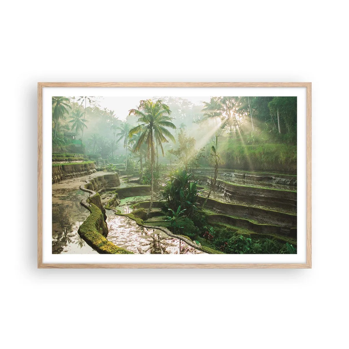 Poster în ramă de stejar deschis - Crescând la soare - 91x61 cm