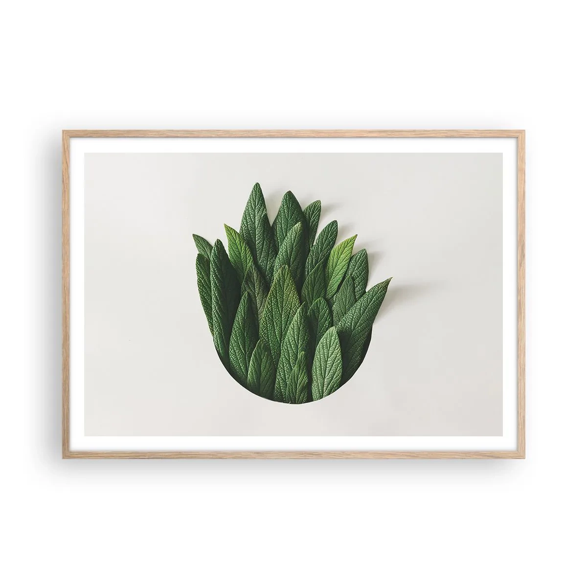 Poster în ramă de stejar deschis - Curiozitatea nestăvilită - 100x70 cm