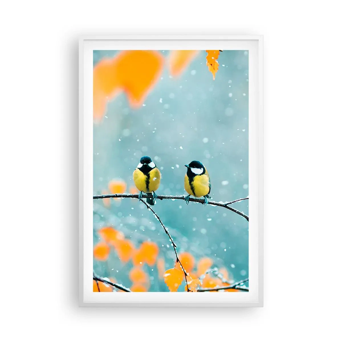 Poster în ramă albă - Bârfele păsărilor - 61x91 cm