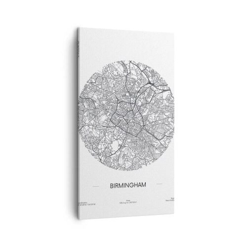 Tablou pe pânză - Anatomia Birmingham - 45x80 cm