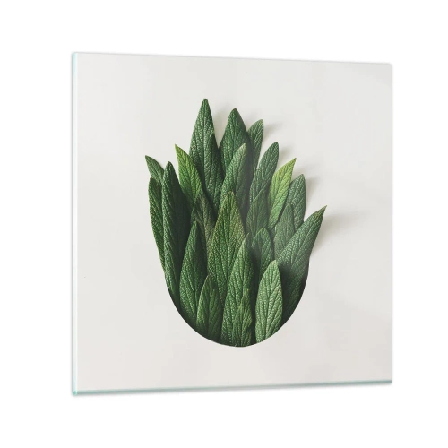 Tablou pe sticlă - Curiozitatea nestăvilită - 50x50 cm