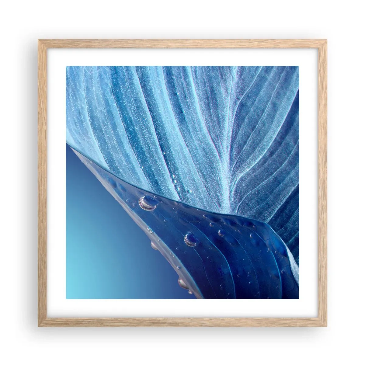 Poster în ramă de stejar deschis - Picături ascunse de albastru - 50x50 cm