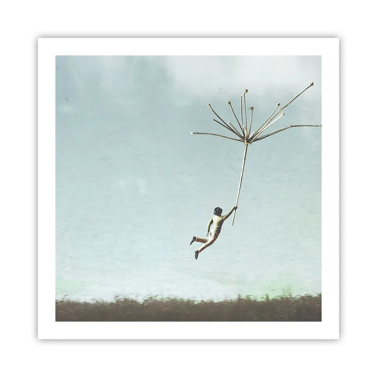 Poster - Zmeuri, suflante, vânt - 60x60 cm