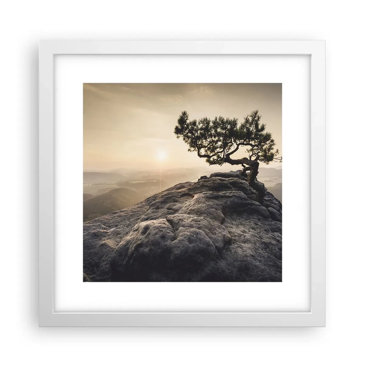 Poster în ramă albă - Viața învinge întotdeauna - 30x30 cm