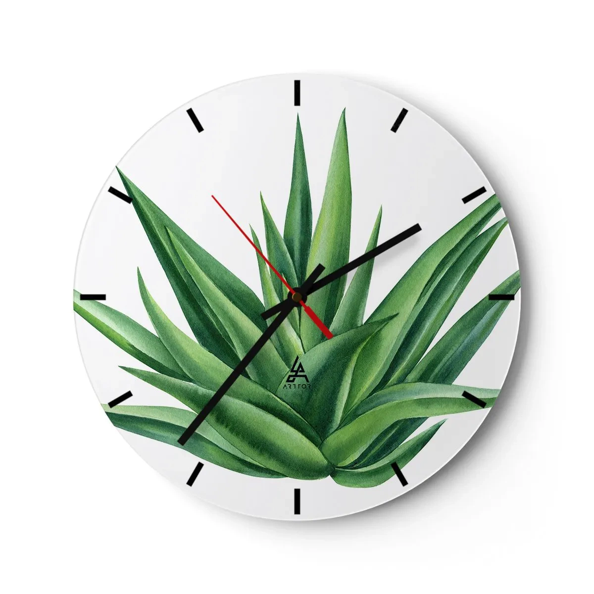 Ceas de perete - Ceas pe sticlă - Agave verde pe fundal alb în stil botanic - 30x30cm - Verde - putere - viață - Decorațiune modernă pentru perete pentru living, bucătărie și dormitor ARTTOR