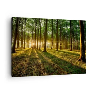 Tablou pe pânză Canvas - Soarele care apune în pădurea de foioase - 70x50cm - Fotografia tuturor primăverilor - Decorațiune modernă pentru perete pentru living și dormitor ARTTOR