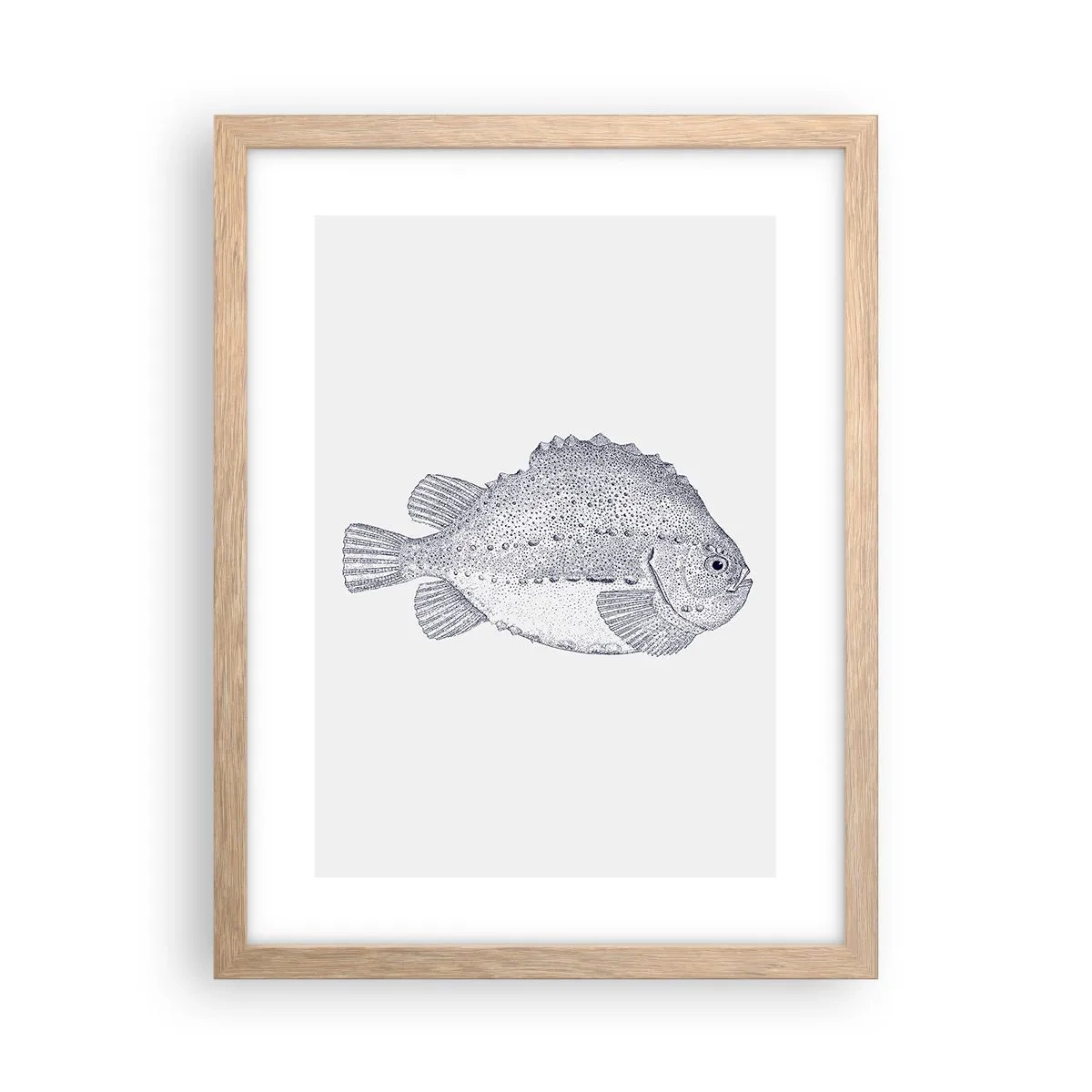 Poster în ramă de stejar deschis - Pentru albumul naturalistului - 30x40 cm