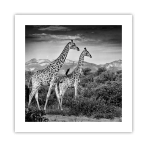 Poster - Clasele superioare din Africa - 40x40 cm