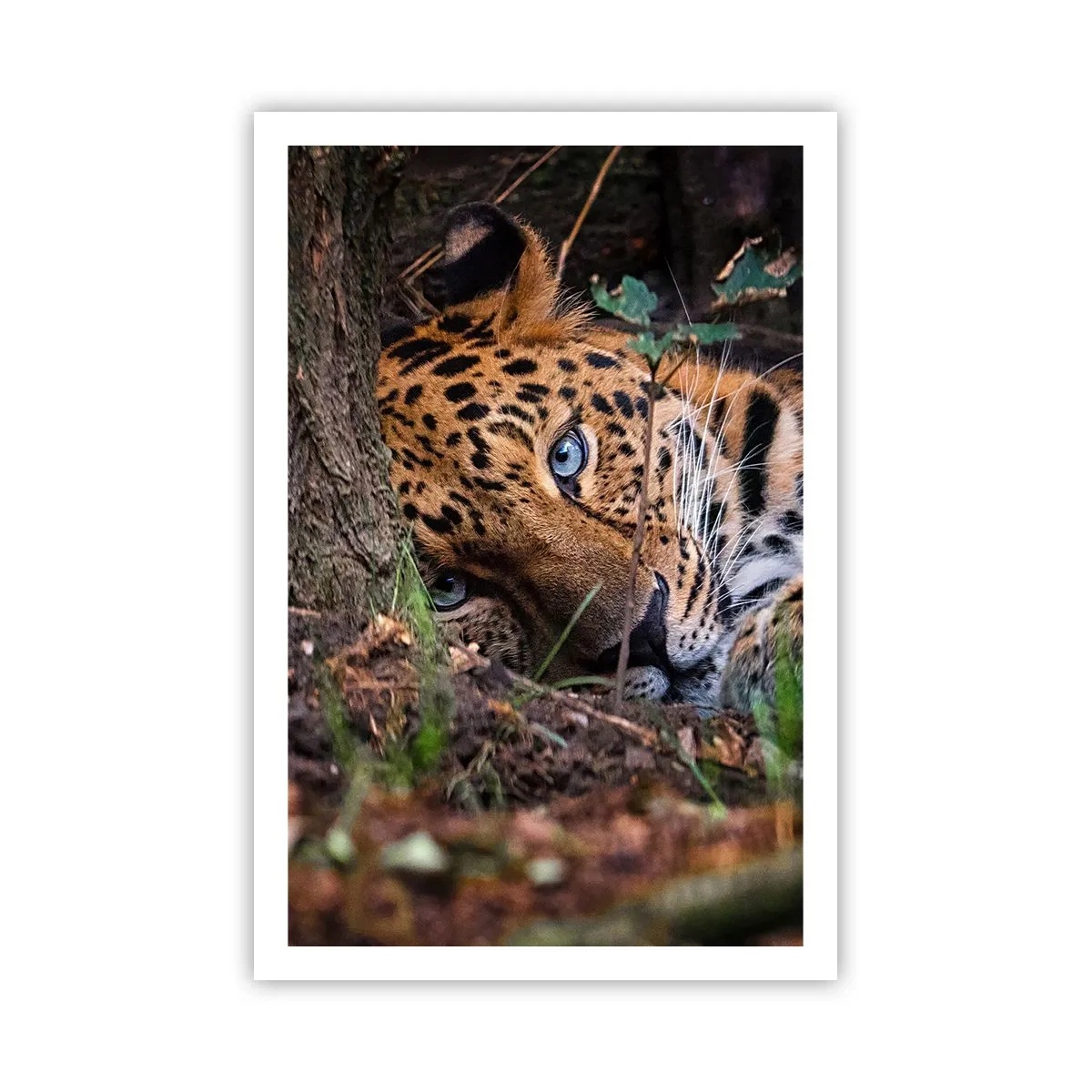 Poster - Să ai încredere în mine - 61x91 cm