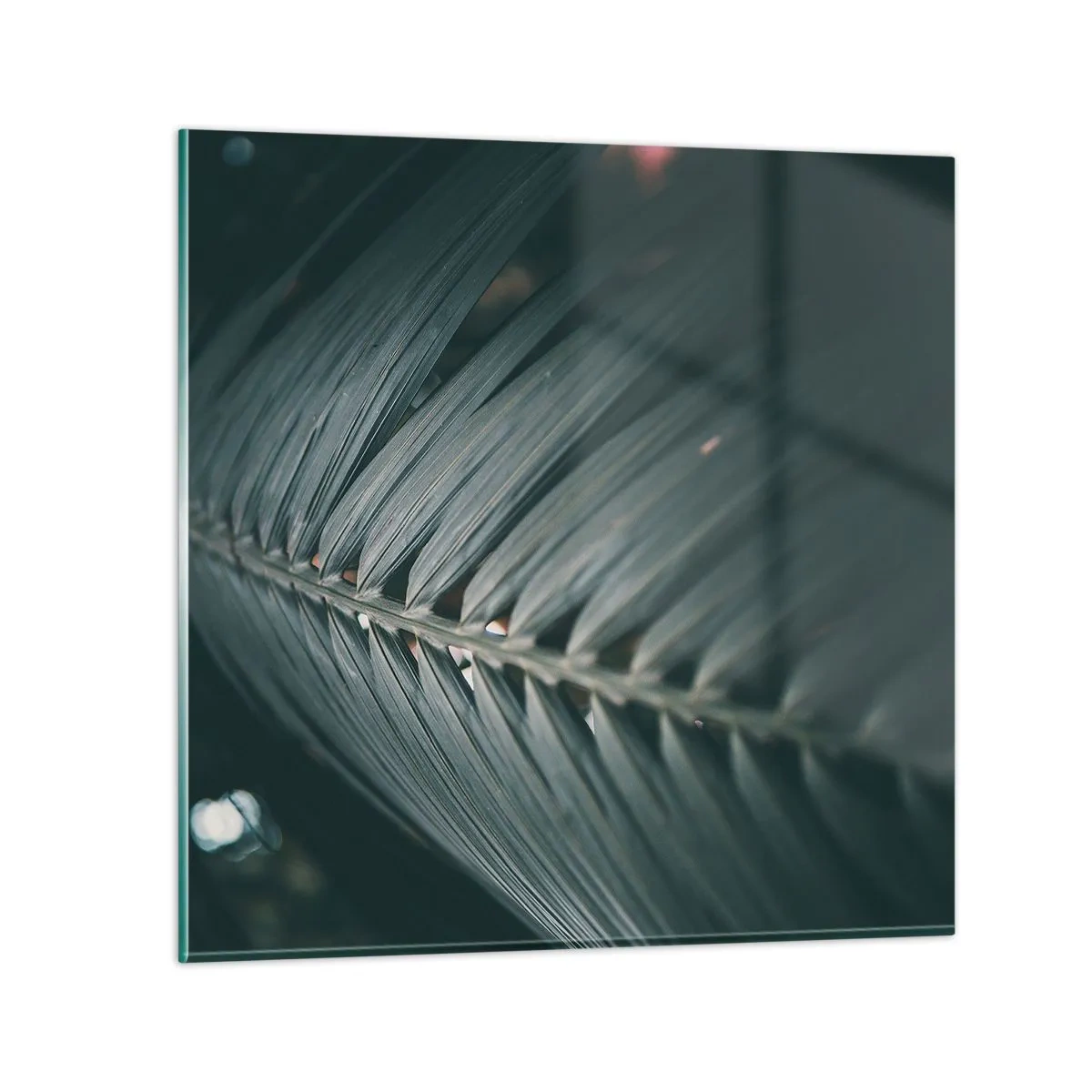 Tablou pe sticlă - Precizia naturii - 60x60 cm