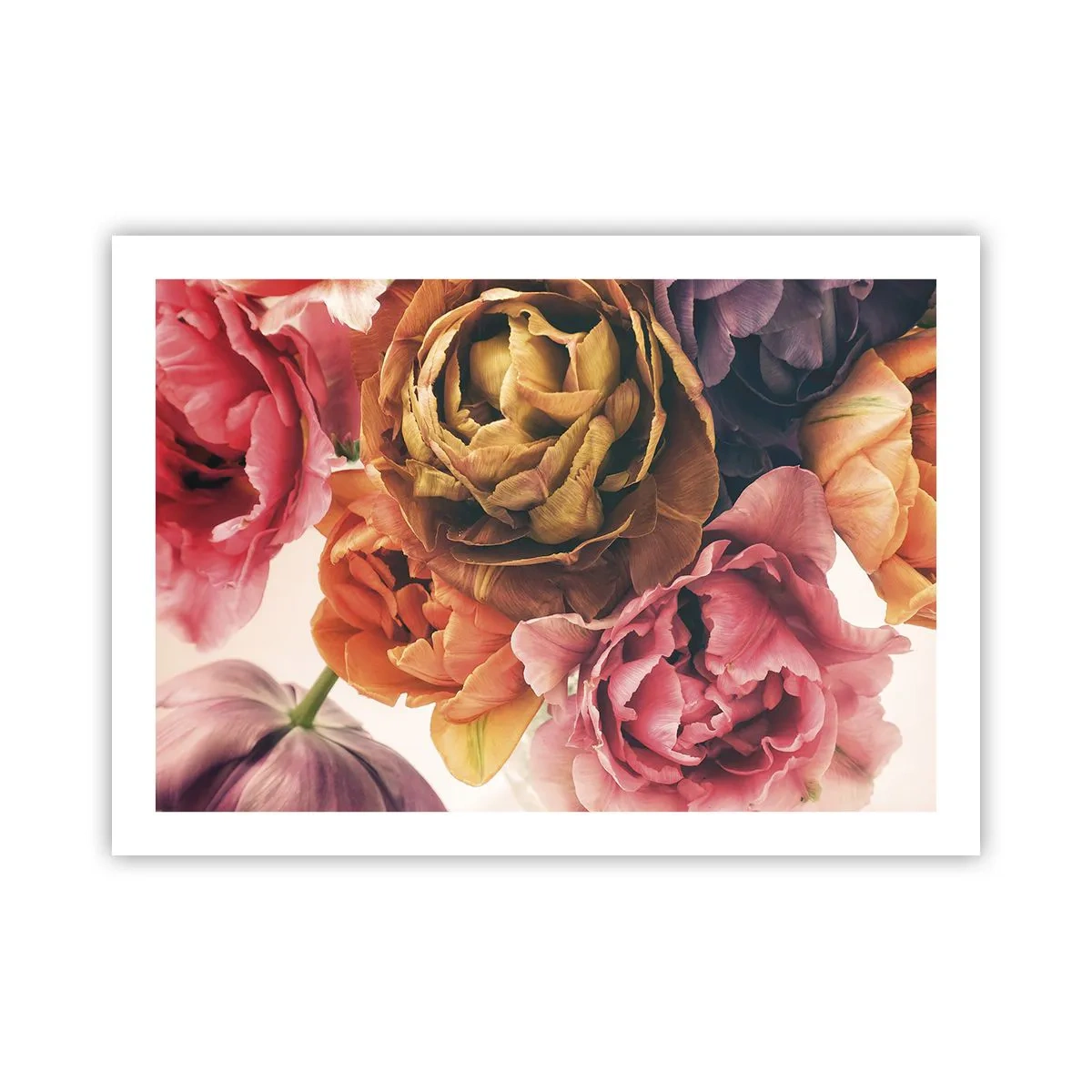 Poster - Sărbătorirea vieții - 70x50 cm