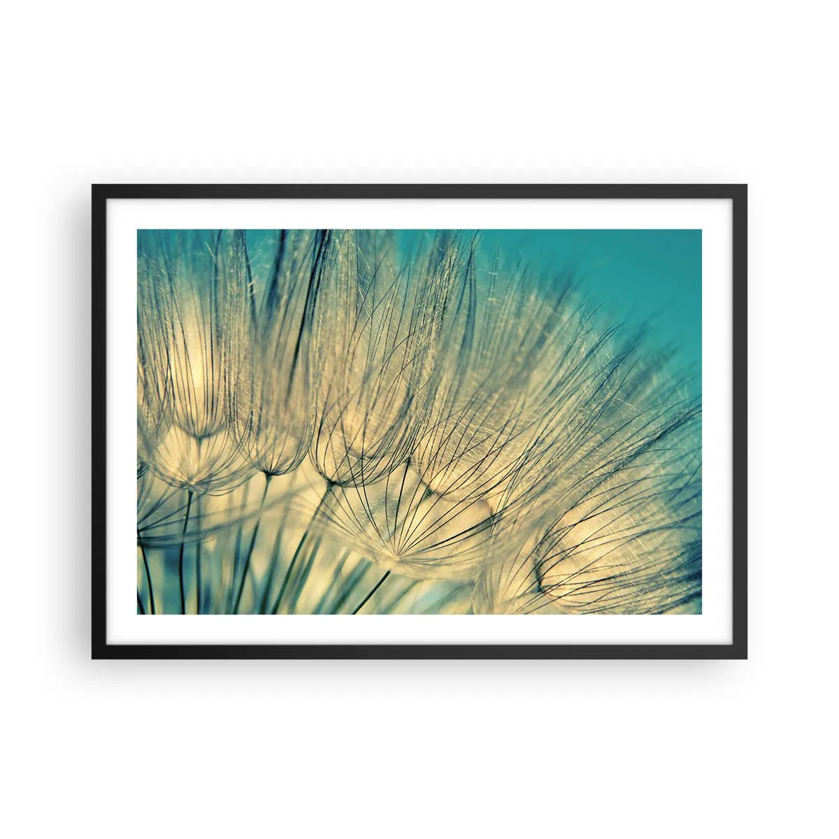 Poster în ramă neagră - Așteptând vântul - 70x50 cm