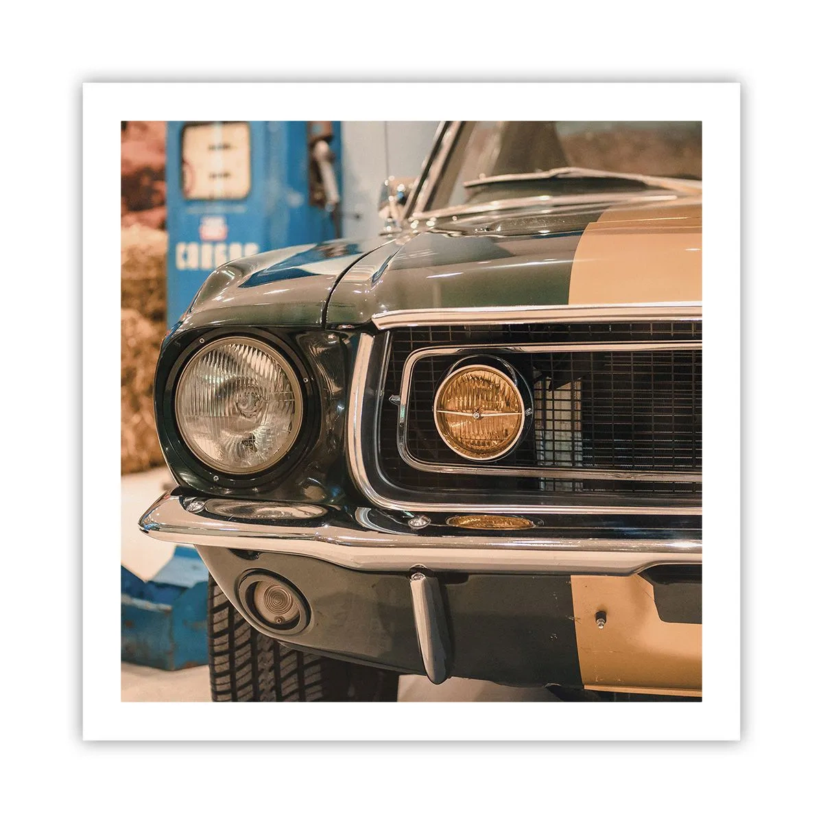 Poster - Întâlnire cu o legendă - 60x60 cm