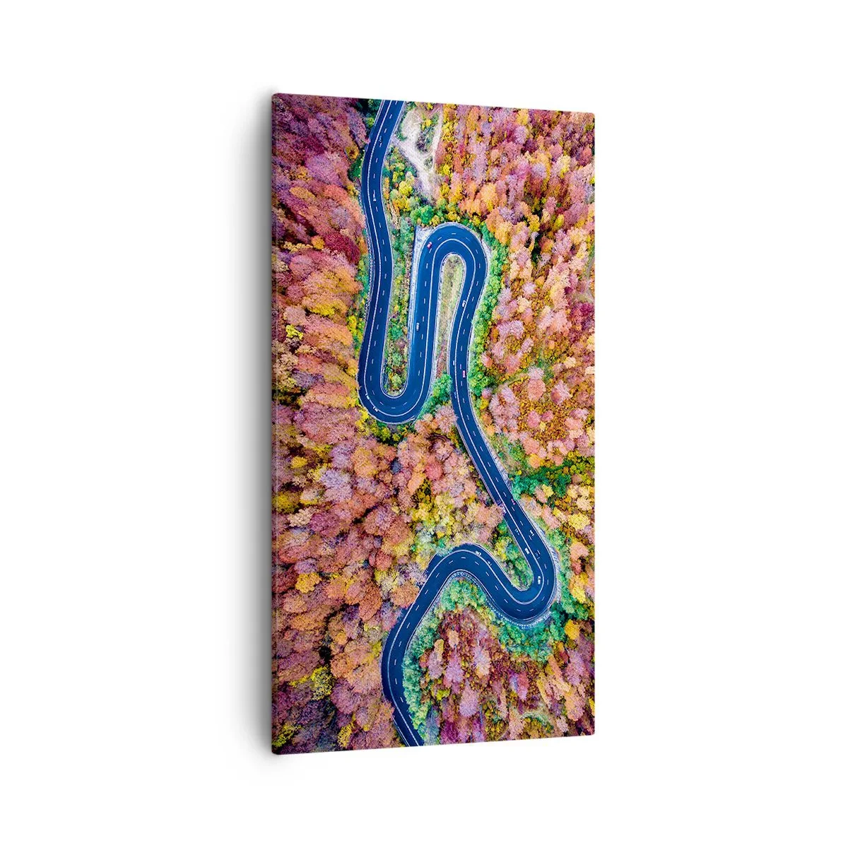 Tablou pe pânză - Un drum șerpuit prin pădure - 55x100 cm