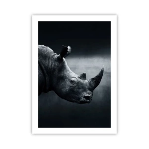 Poster - Profil drept - 50x70 cm