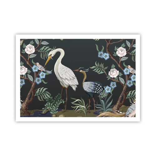 Poster - Parada păsărilor - 100x70 cm