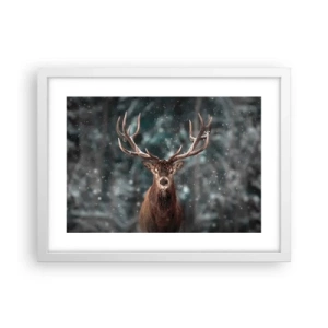 Poster în ramă albă - Regele pădurii a fost încoronat - 40x30 cm