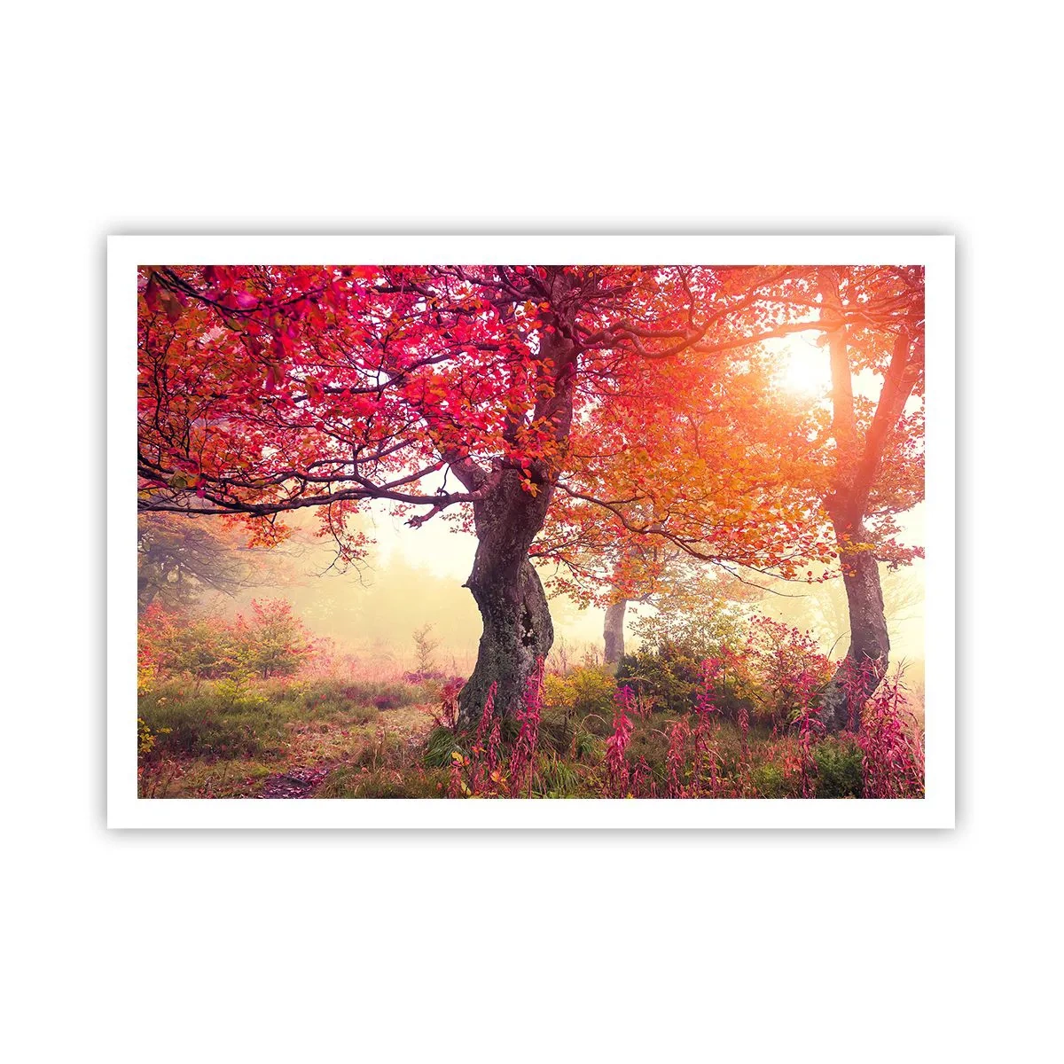 Poster - O frenezie de înflorire - 100x70 cm