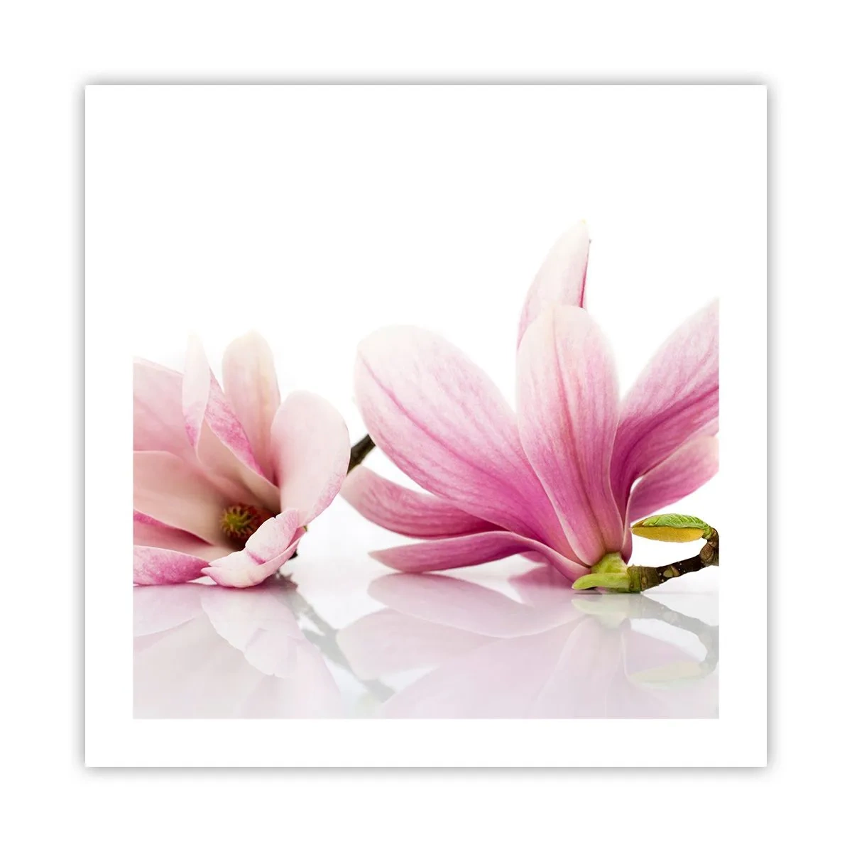 Poster - Delicate ca o adiere de primăvară - 50x50 cm