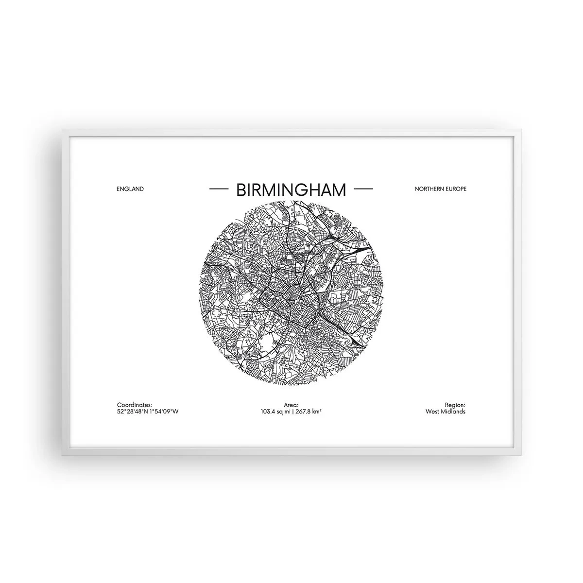 Poster în ramă albă - Anatomia Birmingham - 100x70 cm